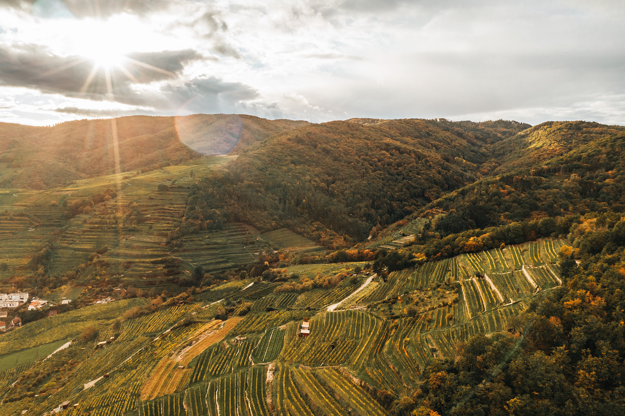 Weingut Ferdl Denk